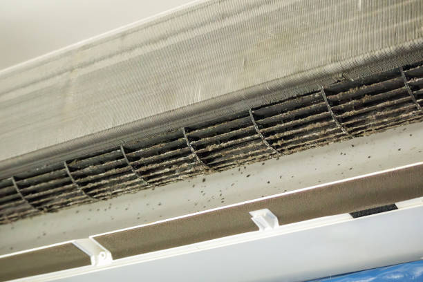 Best HVAC Air Duct Cleaning  in Noble, OK
